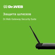 Dr.Web Gateway Security Suite 1год